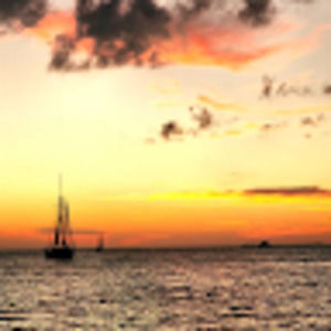 Meet your Posher, Jacki